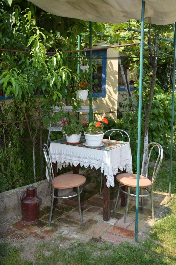 Casa Traditionala Ardeleana Nagymadarász Kültér fotó