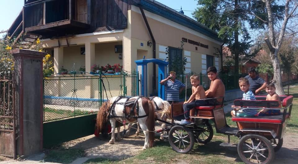 Casa Traditionala Ardeleana Nagymadarász Kültér fotó