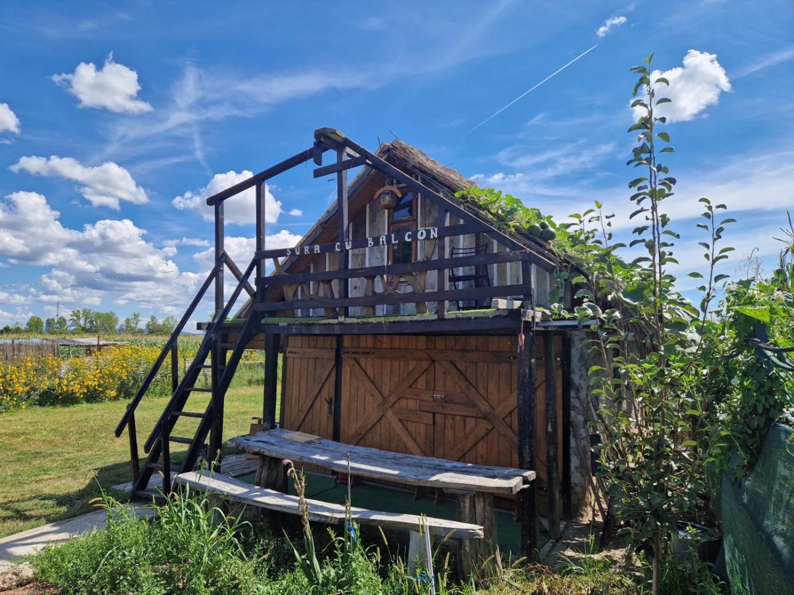 Casa Traditionala Ardeleana Nagymadarász Kültér fotó