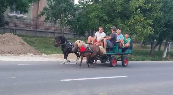 Casa Traditionala Ardeleana Nagymadarász Kültér fotó